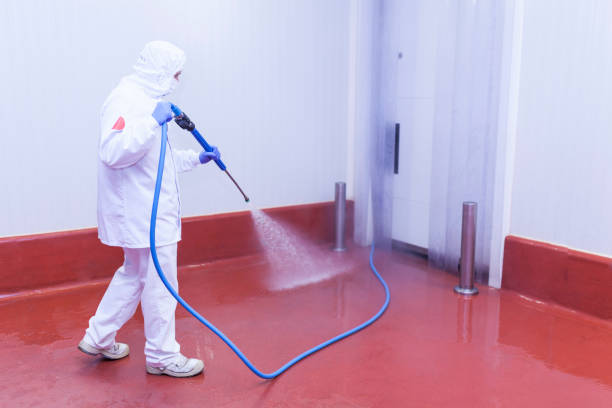 Best Dumpster Area Cleaning  in Fayetteville, NY